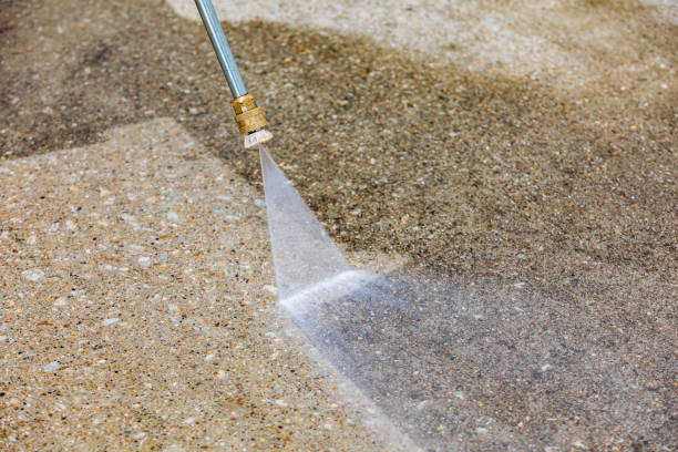 Animal Enclosure Cleaning in Southwest Greensburg, PA